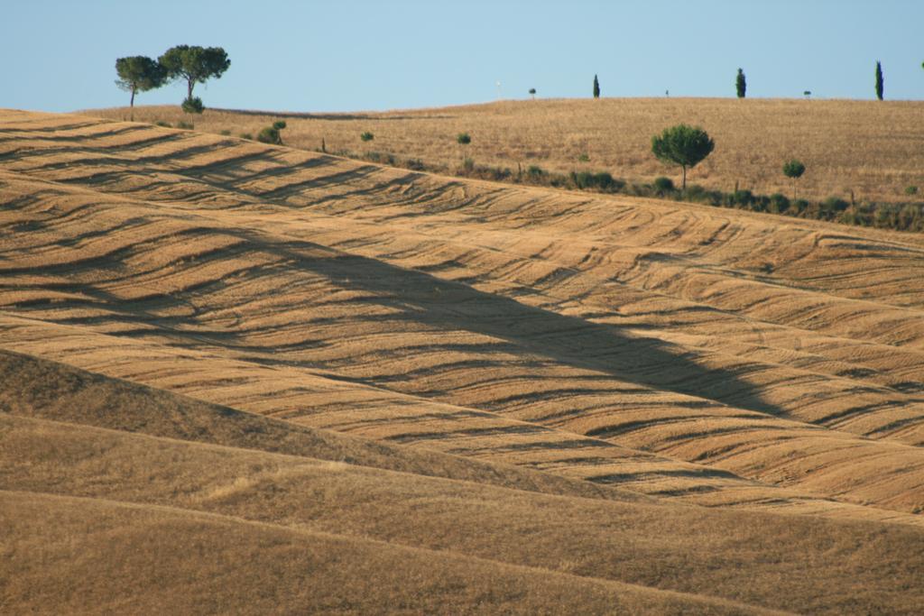 Camere Andrei Pienza Exterior photo